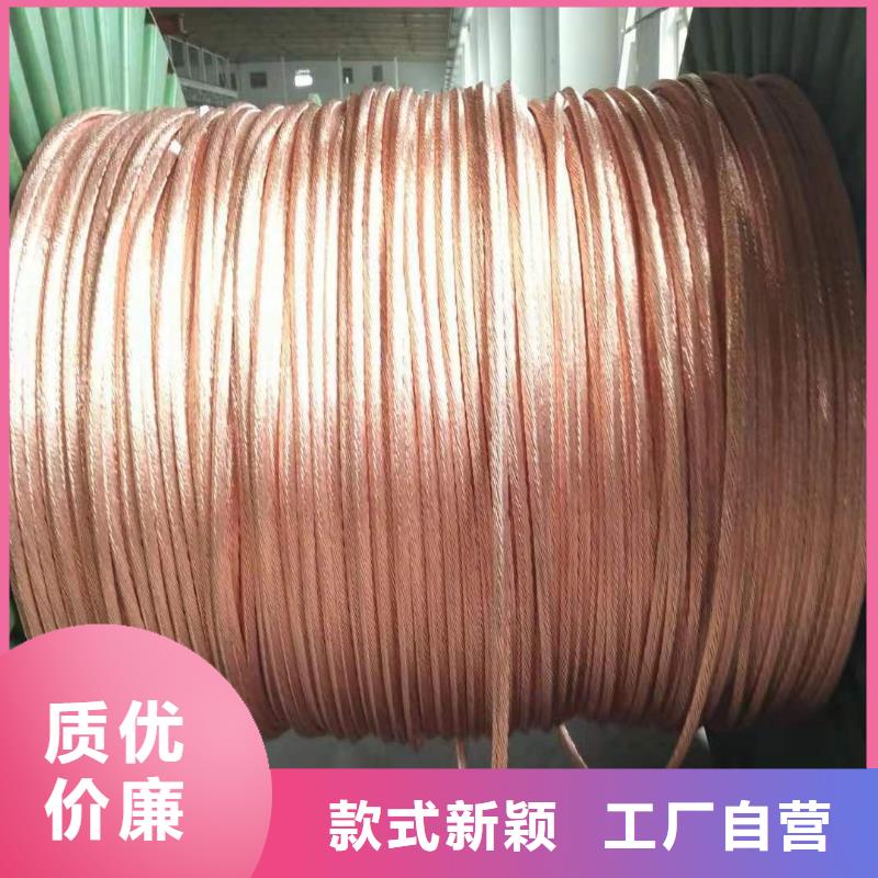 镀锡铜绞线-视频-镀锡铜绞线(辰昌盛通)覆盖地域四川省眉山市东坡|丹棱|雅安|广安|广元|成都|资阳|阿坝