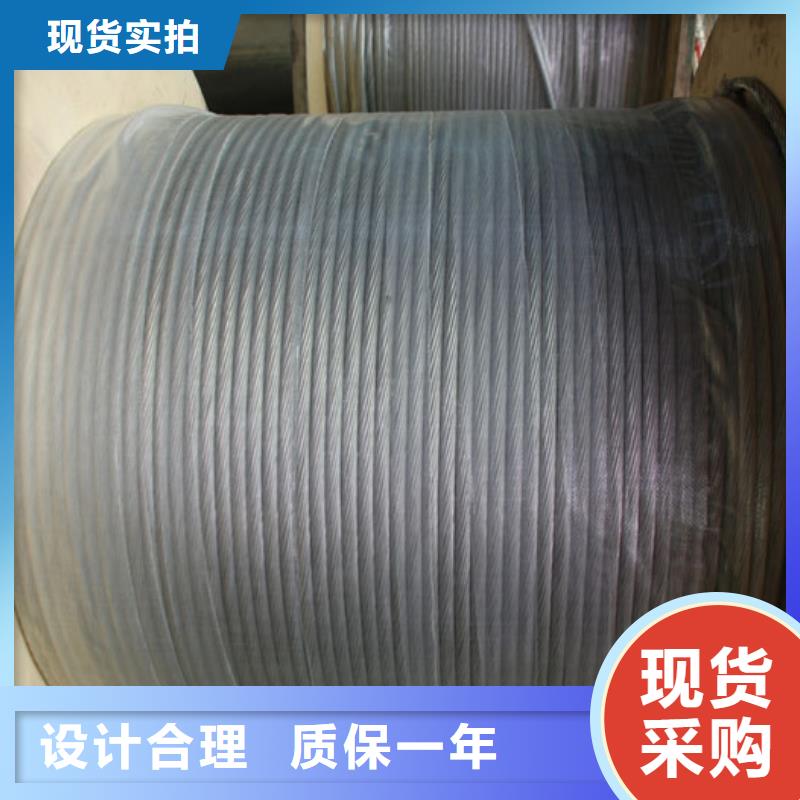 镀锡铜绞线-视频-陕西省宝鸡市辰昌盛通镀锡铜绞线可服务区域凤县|麟游|铜川|汉中|商洛|咸阳等