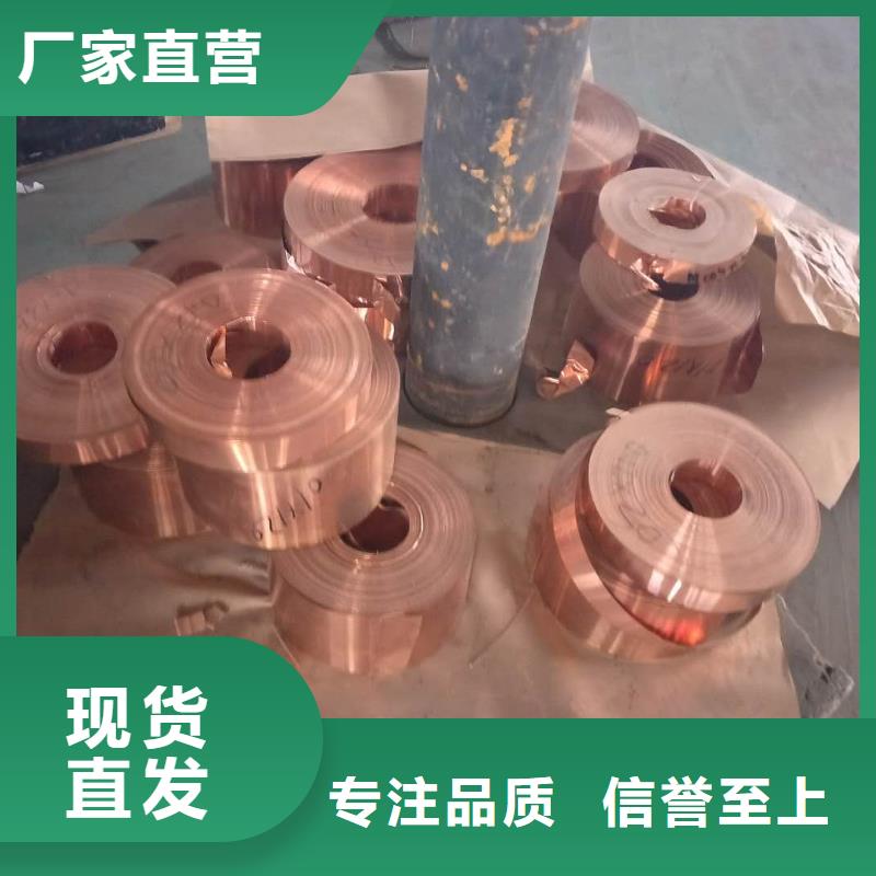 镀锡铜绞线-视频-江苏省南通市|启东|如东|宿迁|苏州|淮安|扬州镀锡铜绞线-辰昌盛通