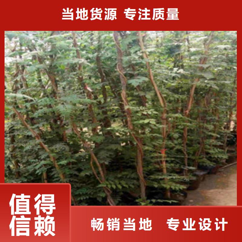 水生植物/荷花睡莲-视频-水生植物/荷花睡莲-山东省莱芜市莱城|钢城|济南|德州|烟台|东营|临沂|滨州【同城】 【附近】公司