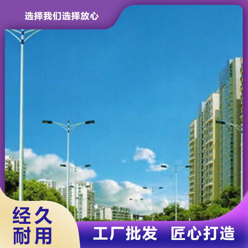 太阳能市电太阳能杀虫灯厂家优质原料