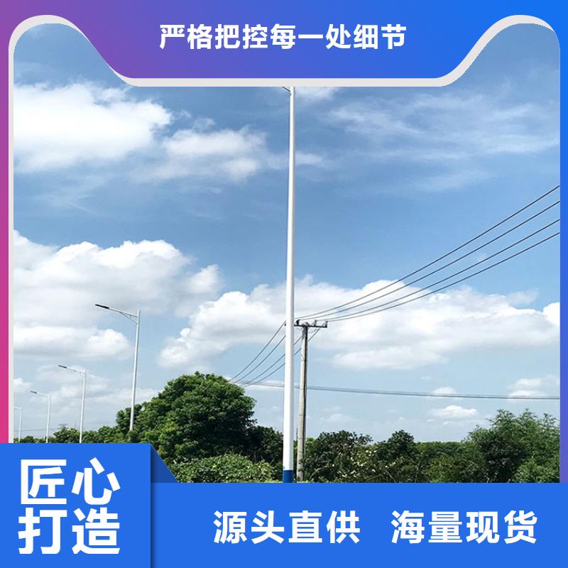 太阳能市电-路灯生产厂家丰富的行业经验