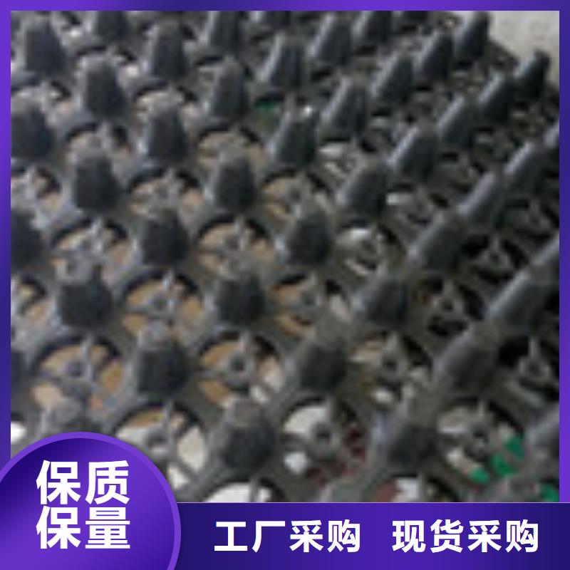 塑料盲沟管-视频-伊犁|克拉玛依|乌鲁木齐塑料盲沟管实力大厂家-泰驰排水板生产厂家(新疆分公司)