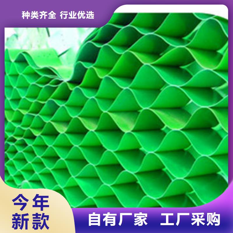 石泉县蜂巢格室厂家