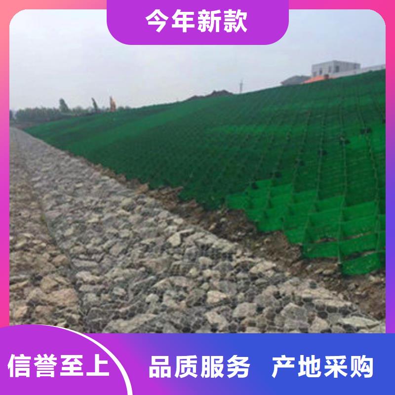 蜂巢格室 玻纤格栅优质材料厂家直销