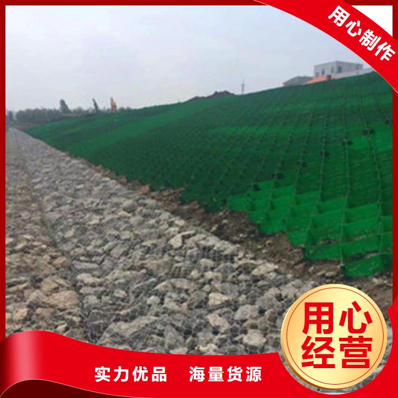 蜂巢格室双向塑料土工格栅优选原材