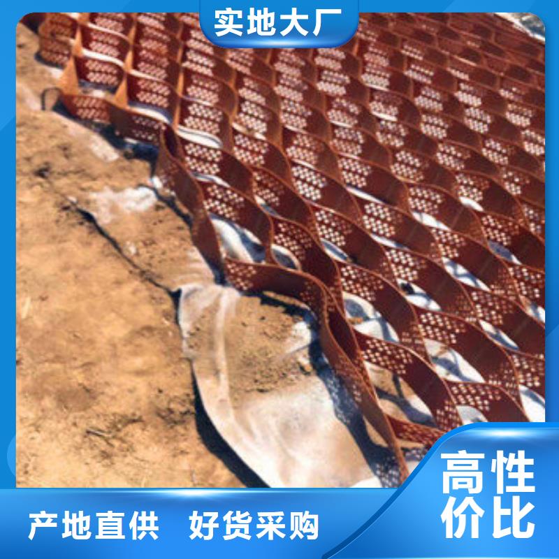 蜂巢格室,钢塑格栅的简单介绍