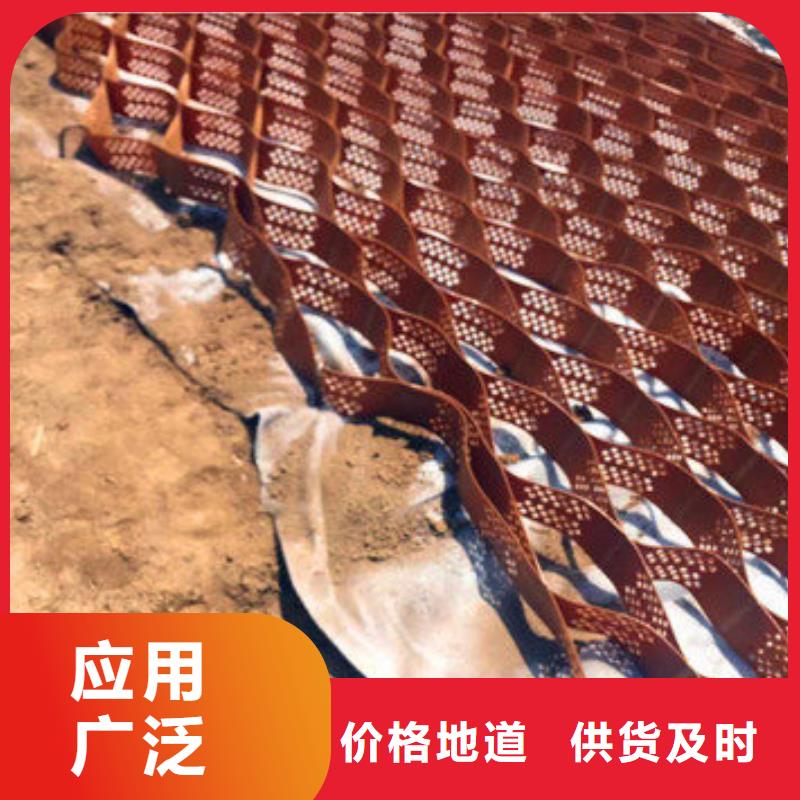 蜂巢格室双向塑料土工格栅厂家