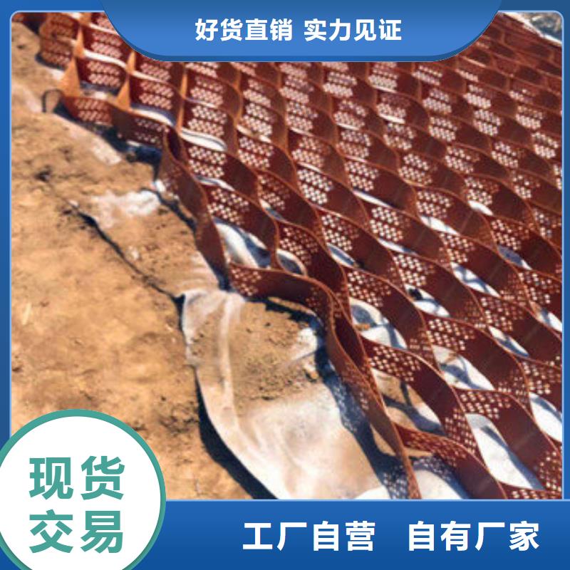 蜂巢格室土工格栅源头厂家直销