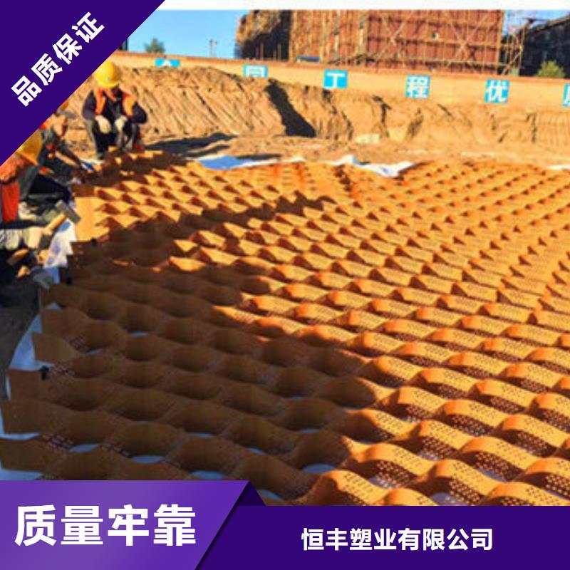 蜂巢格室塑料土工格室海量现货直销