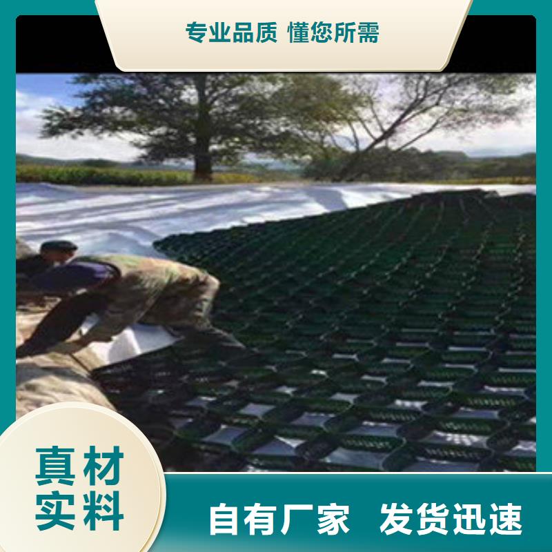 蜂巢格室玻璃纤维土工格栅客户满意度高