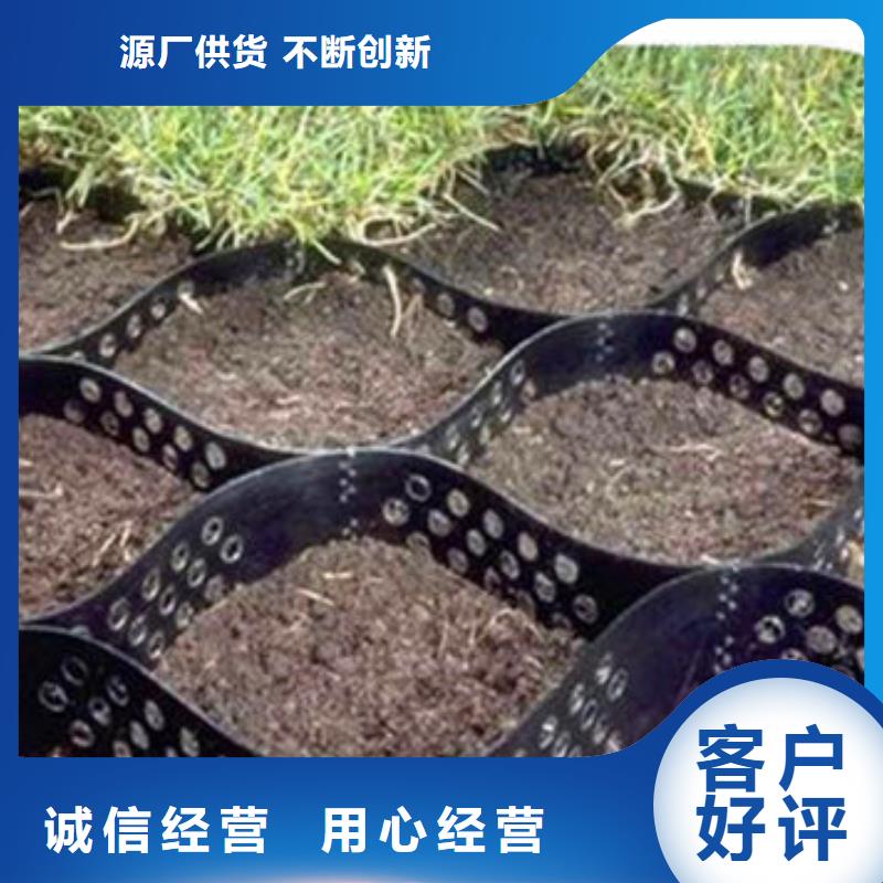 蜂巢格室蜂格网定制速度快工期短
