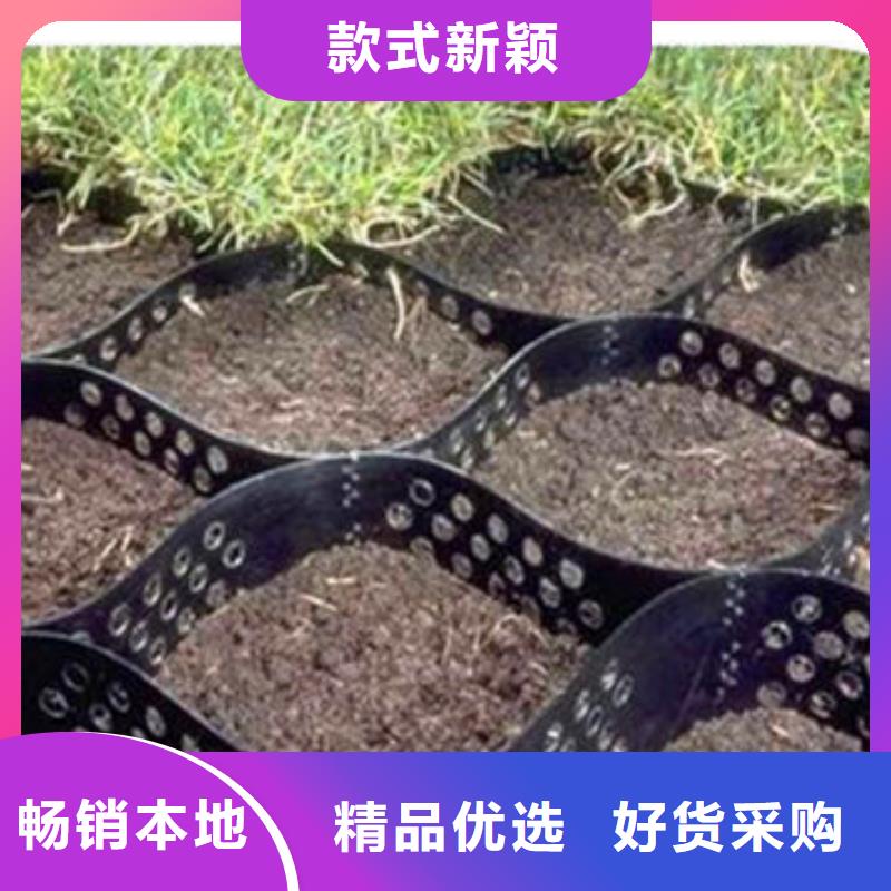 蜂巢格室土工网用心服务
