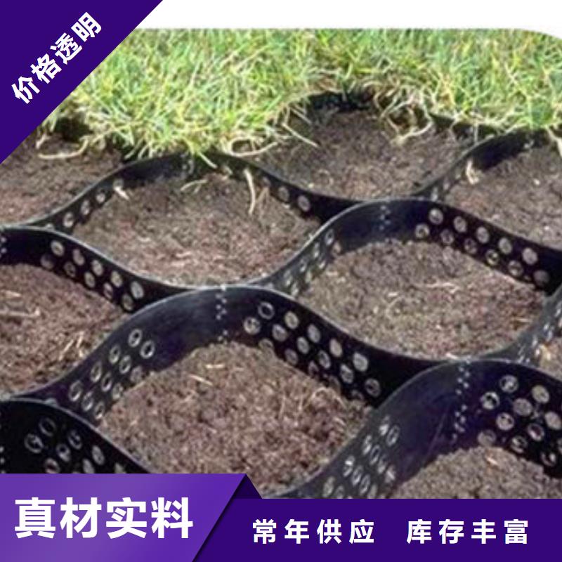 蜂巢格室 止水条当日价格