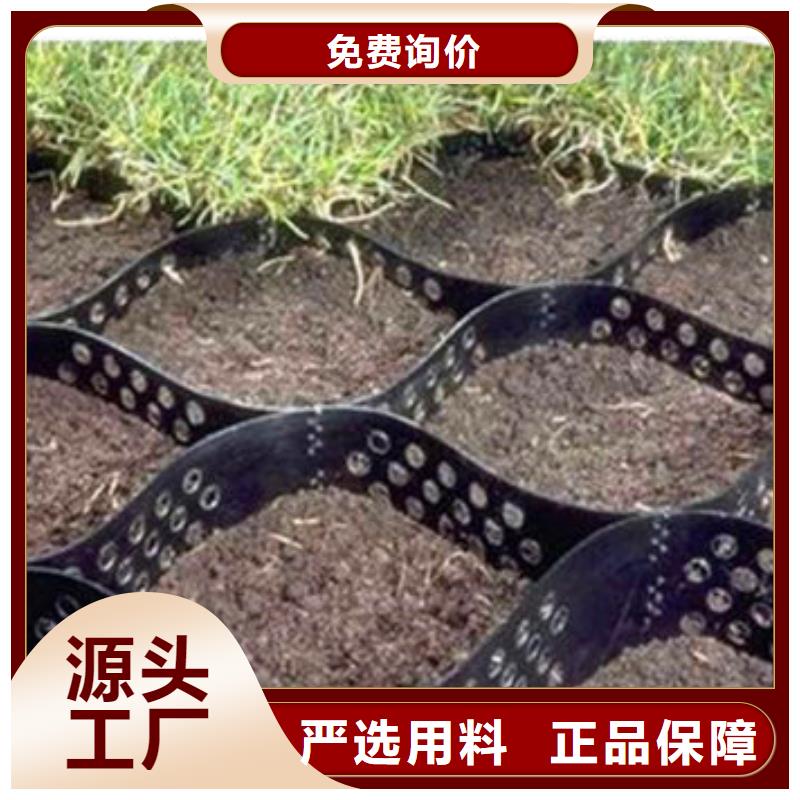 塑料土工格室-视频-福建省泉州市恒丰塑料土工格室可服务区域金门|惠安|三明|福州|厦门|宁德等