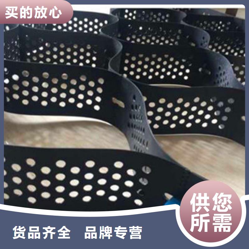 蜂巢格室_植草格精致工艺