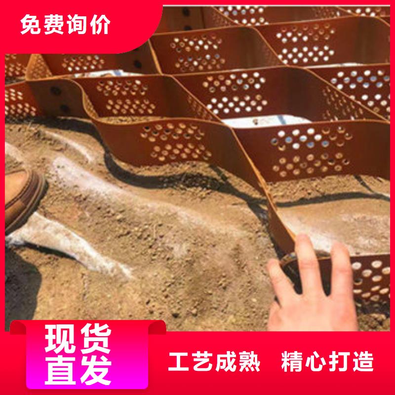 蜂巢格室 软式透水管实力优品