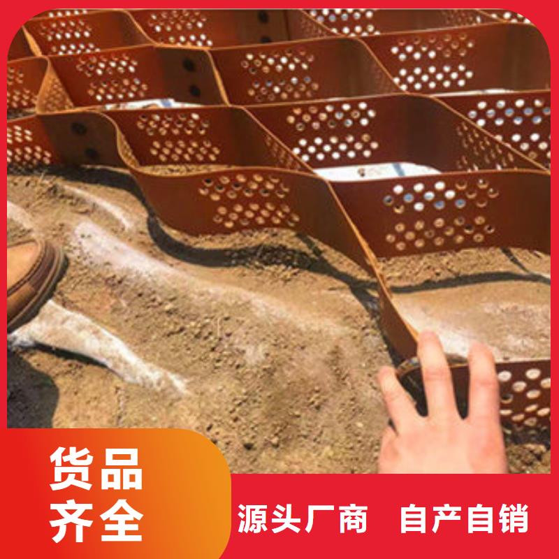 蜂巢格室 六边形格室高标准高品质
