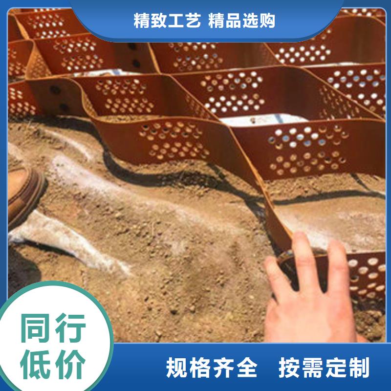 蜂巢格室车库顶板排水板为您提供一站式采购服务