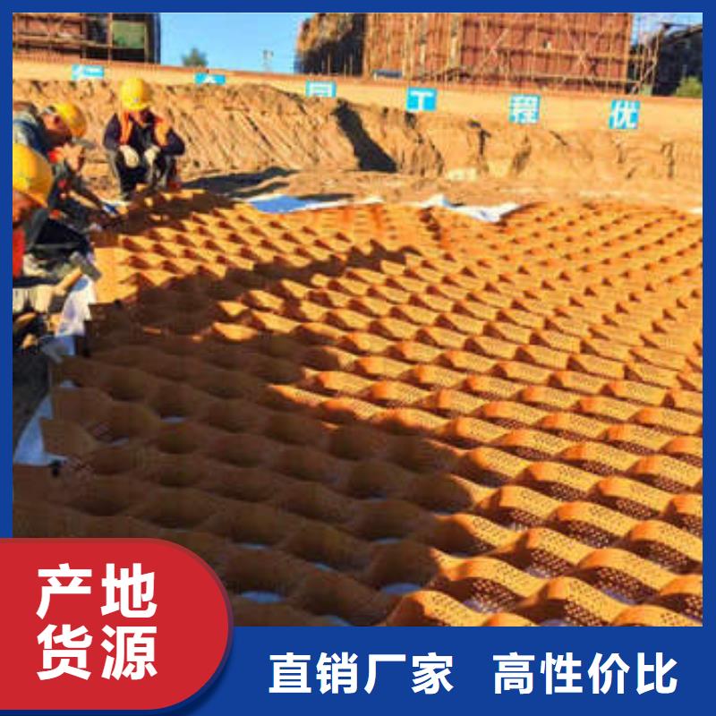 蜂巢格室真实拍摄品质可靠