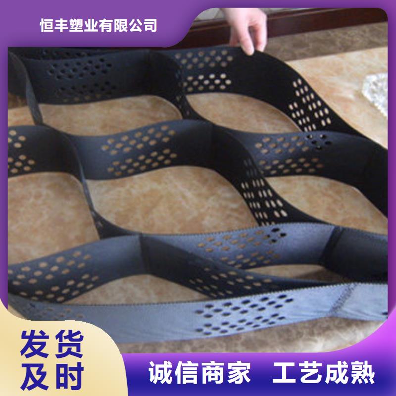 蜂巢格室蜂格网定制速度快工期短