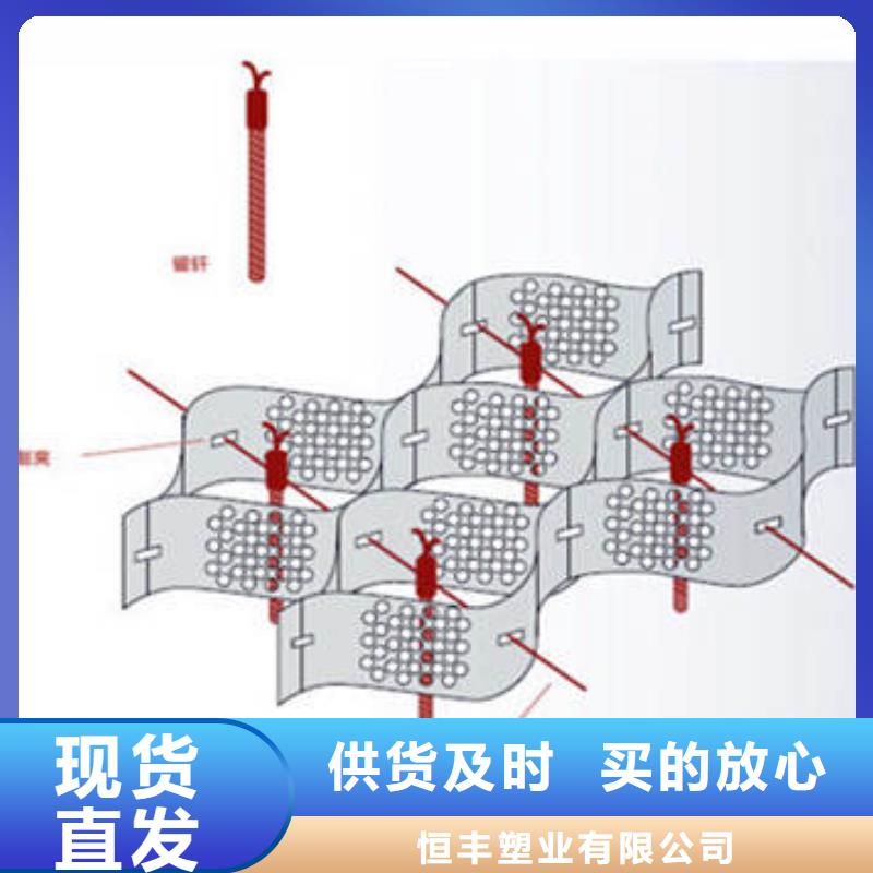 蜂巢格室_土工格栅定制定做