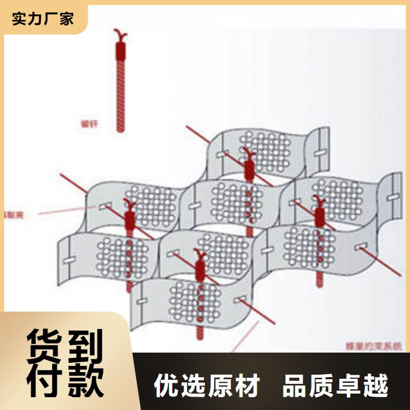 蜂巢格室蜂格网定制速度快工期短