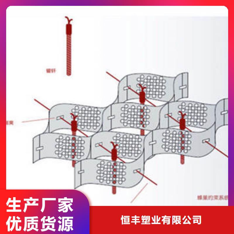 蜂巢格室 网格布优选好材铸造好品质