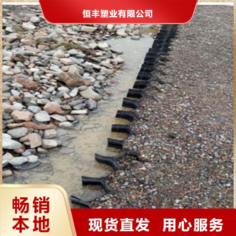  蜂巢格室实体厂家