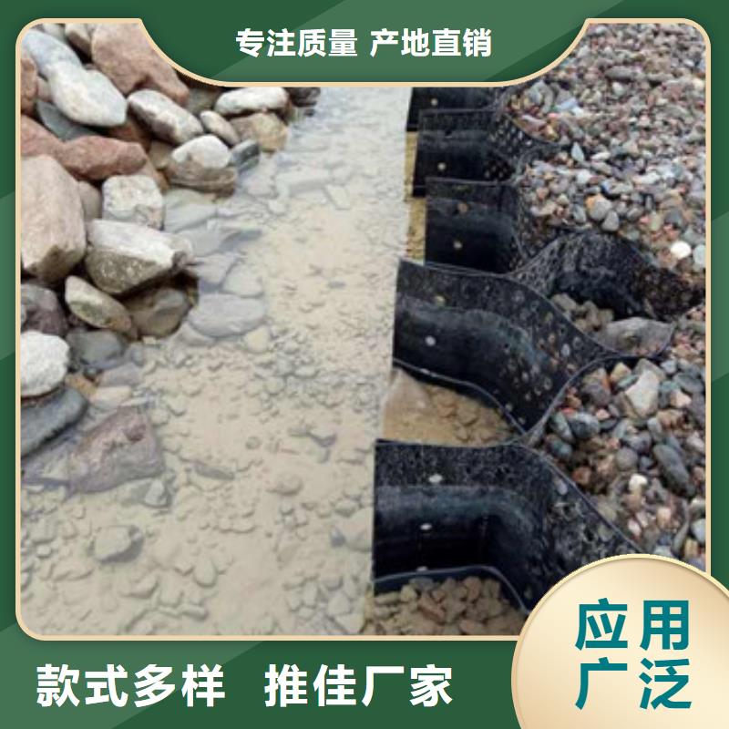 蜂巢格室-塑料格栅产地直供