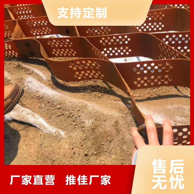 蜂巢格室塑料土工格室来图定制量大从优