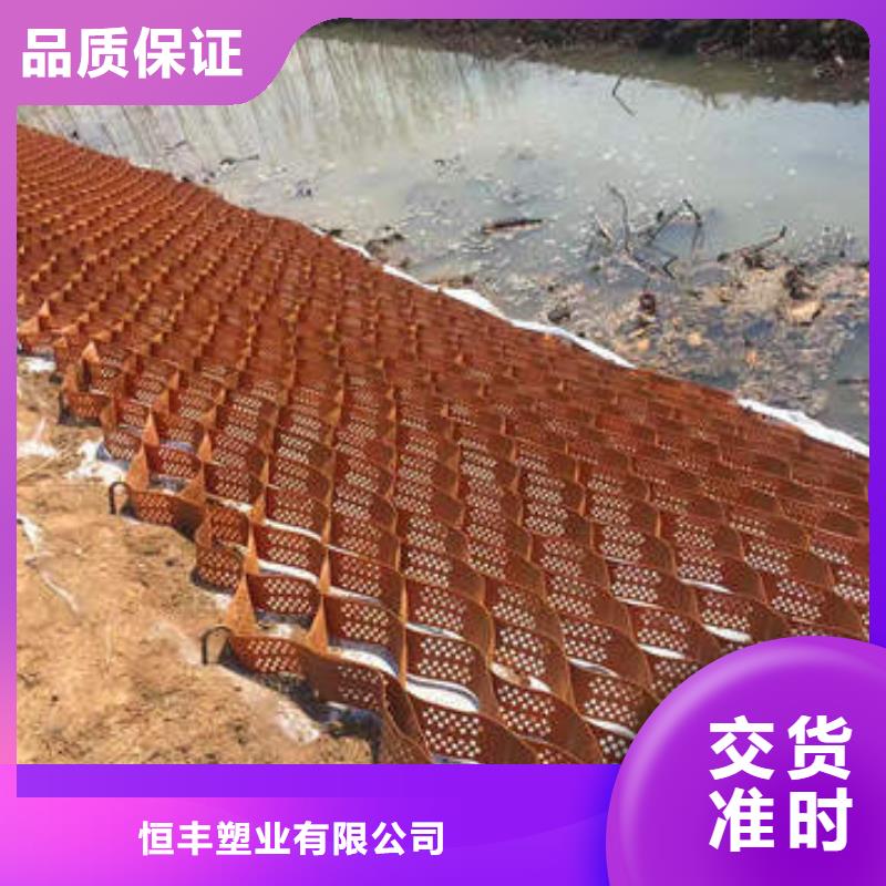 蜂巢格室蜂格网厂家直销货源充足
