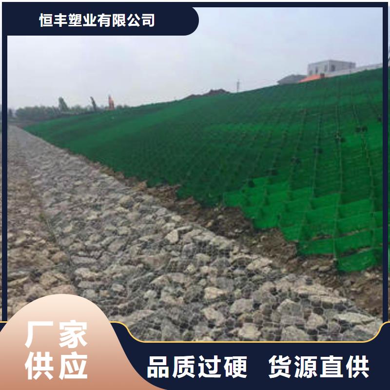 蜂巢格室 植草格严格把控每一处细节