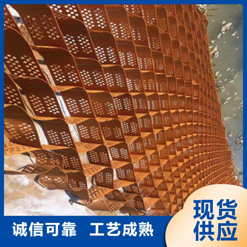 蜂巢格室-蜂格网厂家销售