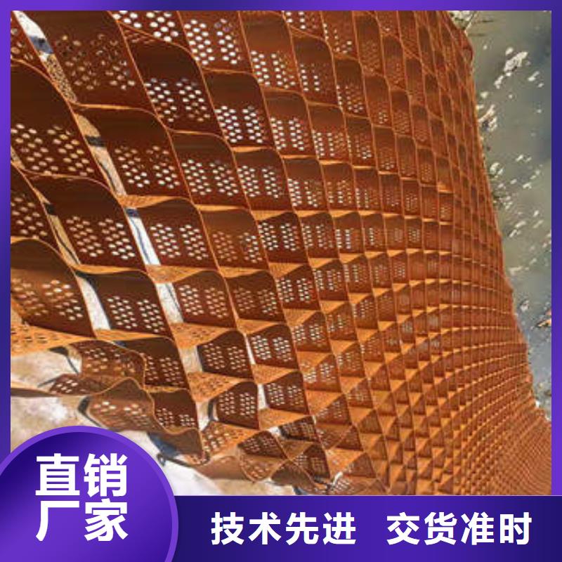  蜂巢格室实体厂家