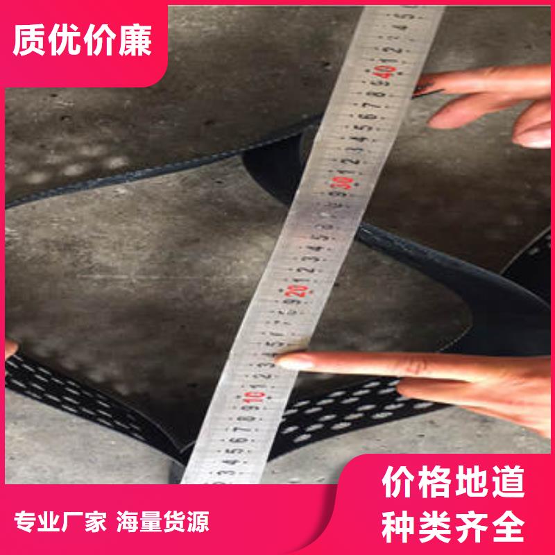 蜂巢格室塑料土工格室来图定制量大从优