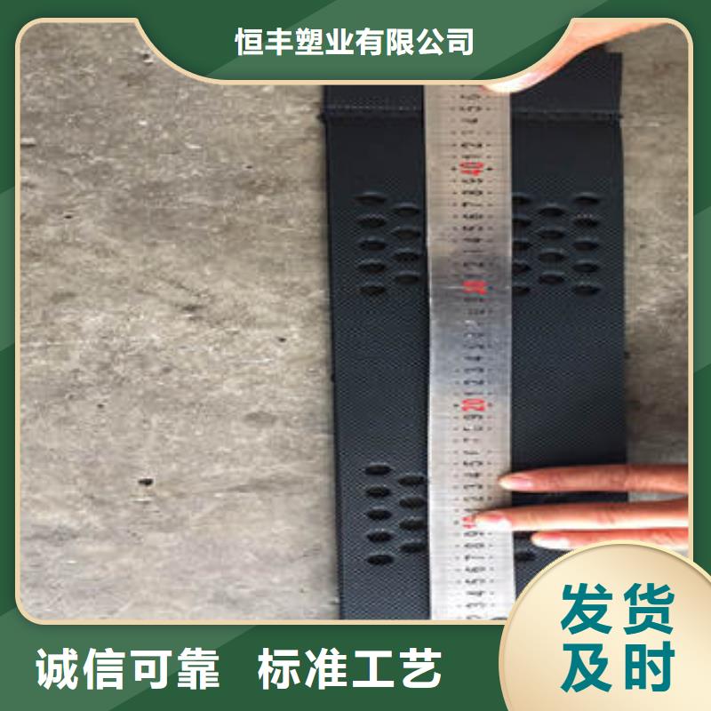 蜂巢格室双向塑料土工格栅厂家