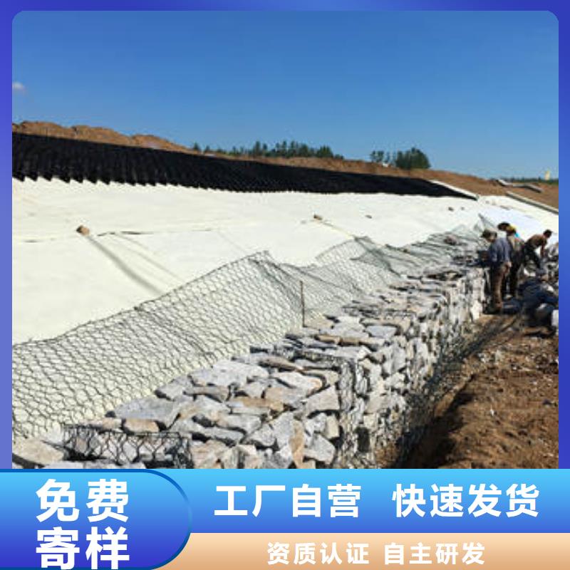 蜂巢格室网格布源头实体厂商