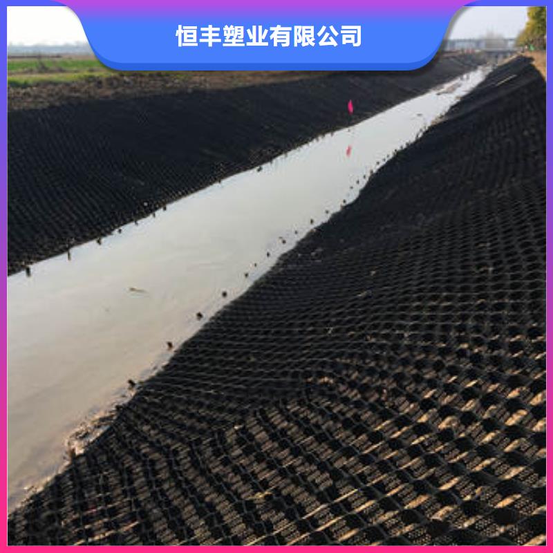 蜂巢格室土工格栅厂家定制