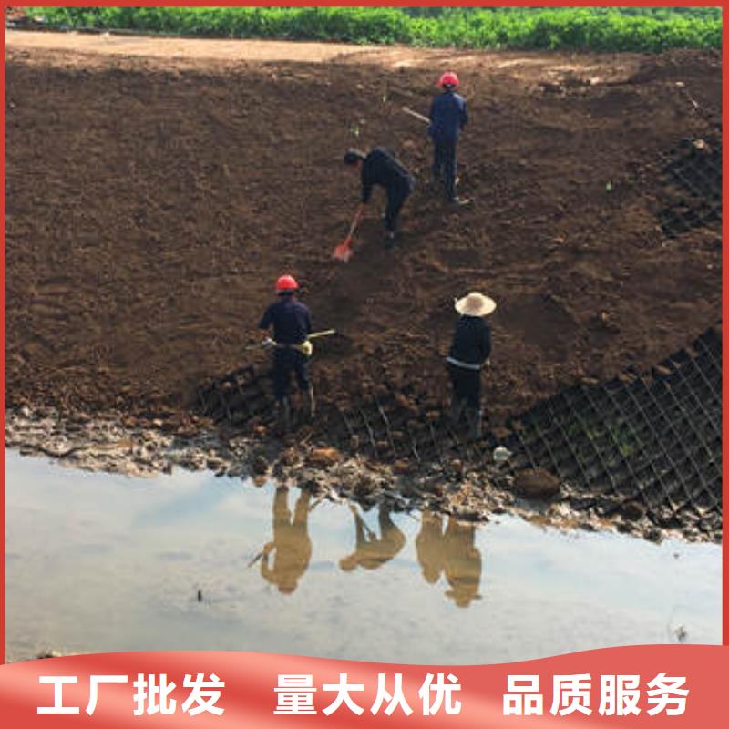 蜂巢格室_蜂巢土工格室用心细节