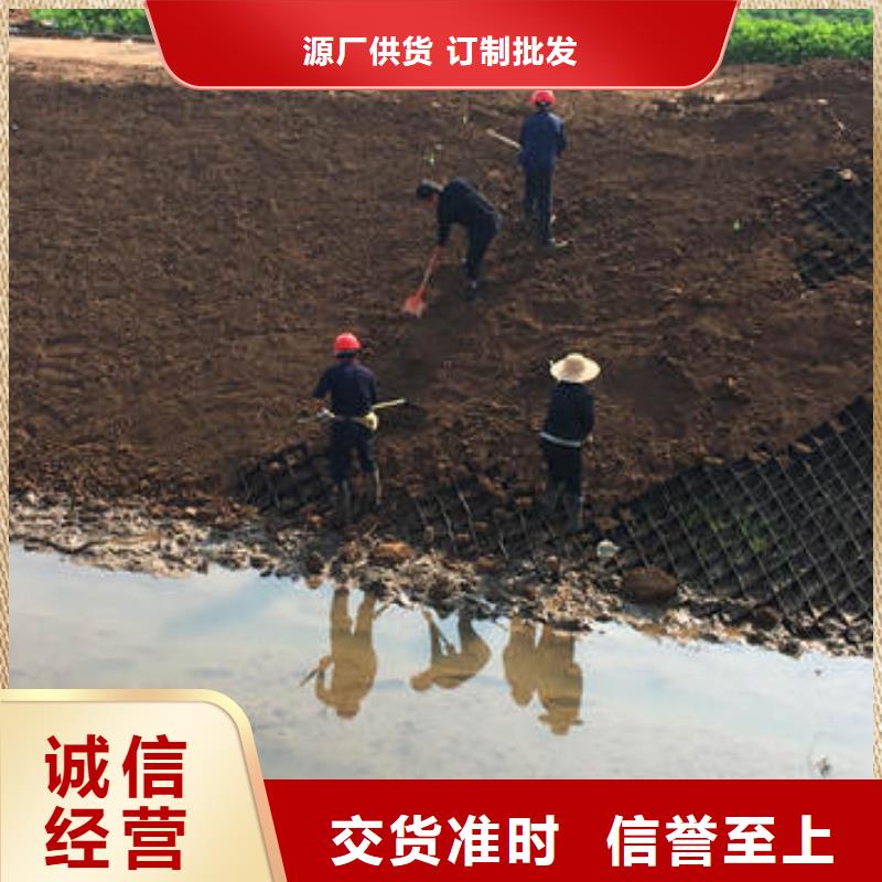 蜂巢格室【塑料玻纤格栅】经验丰富质量放心