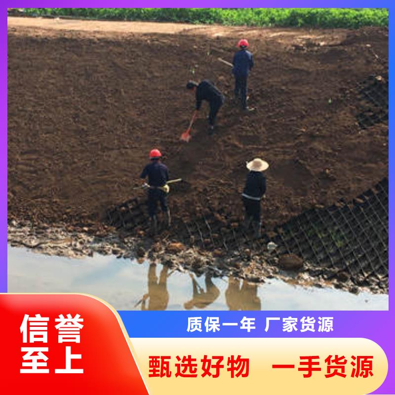 六边形土工格室，六边形土工格室