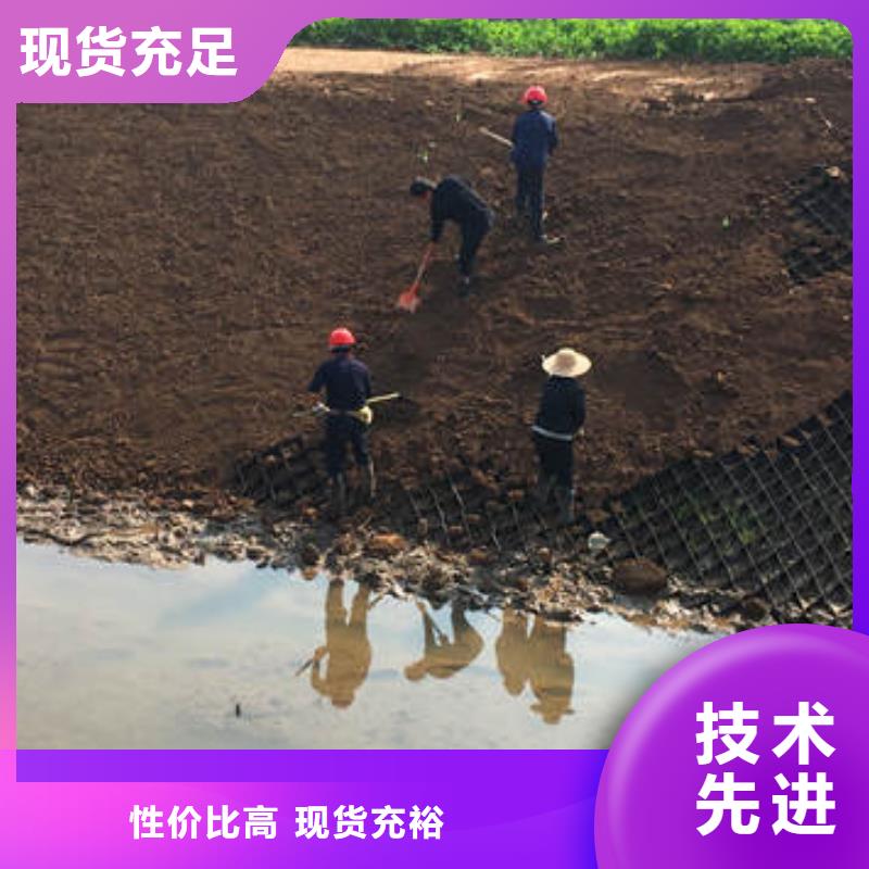 蜂巢格室蜂格网厂家直销货源充足