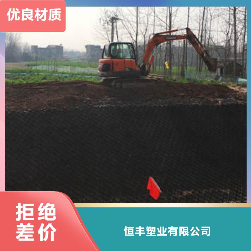 蜂巢格室玻纤土工格栅现货充足