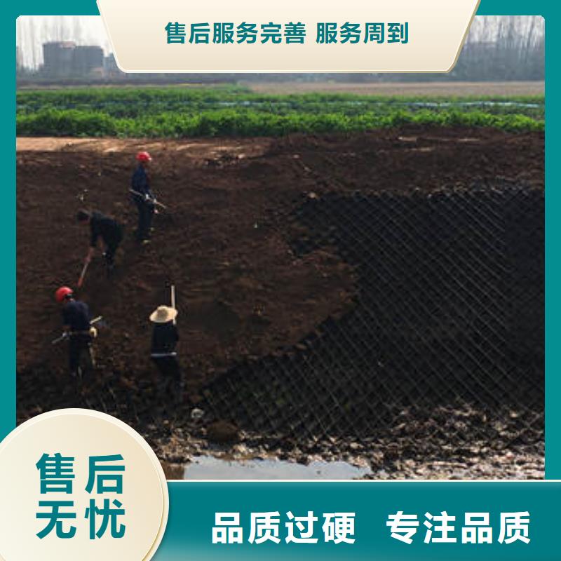 蜂巢格室-植草格从厂家买售后有保障