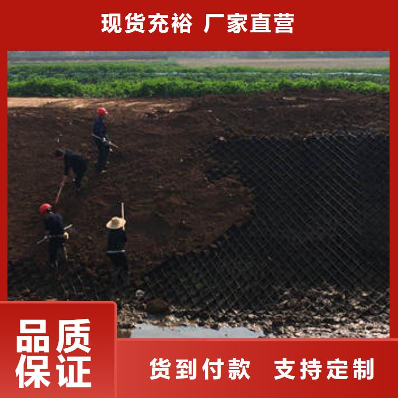 蜂巢格室网格布源头实体厂商