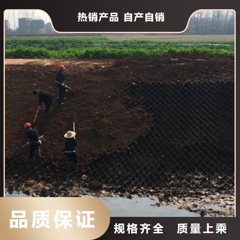 蜂巢格室 网格布优选好材铸造好品质