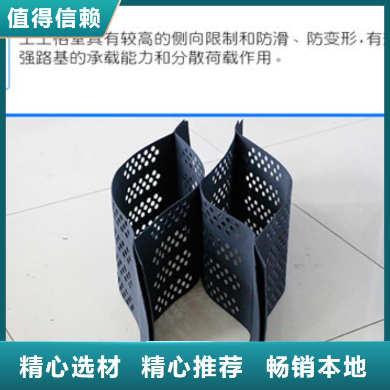 蜂巢格室钢塑格栅专注质量