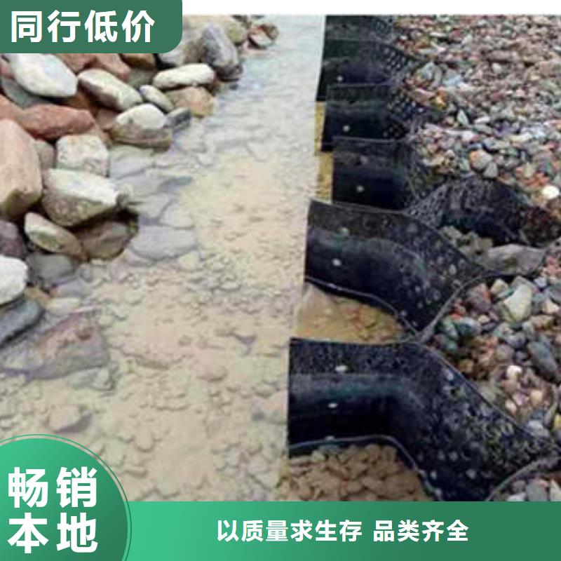 蜂巢格室_土工格栅定制定做