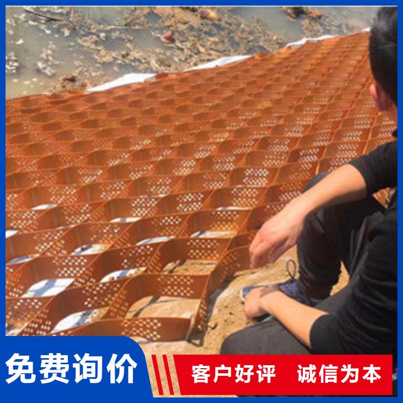 蜂巢格室塑料土工格室海量现货直销